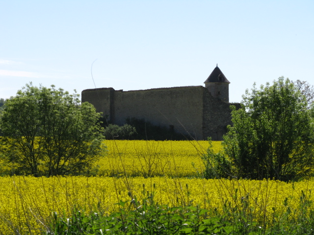 Château d'Aigues Mortes